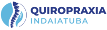 logo quiropraxia indaiatuba